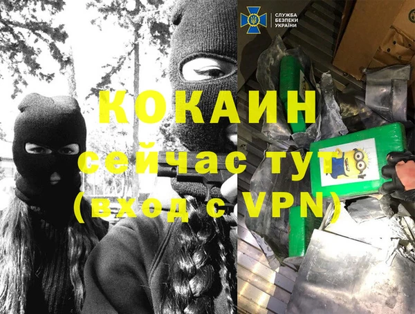 крисы Баксан