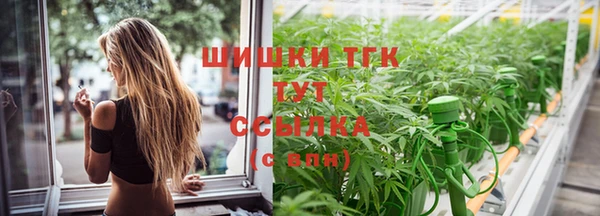 крисы Баксан