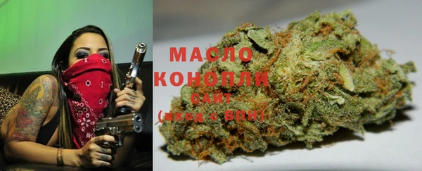 крисы Баксан