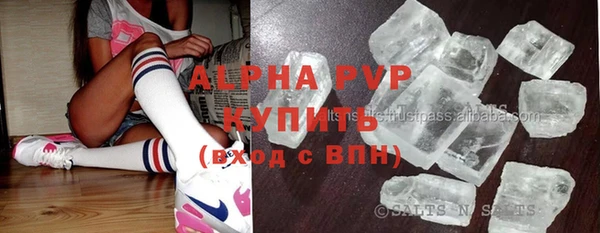 крисы Баксан
